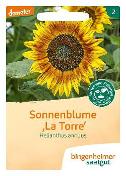 Produktfoto zu Sonnenblumen Samen