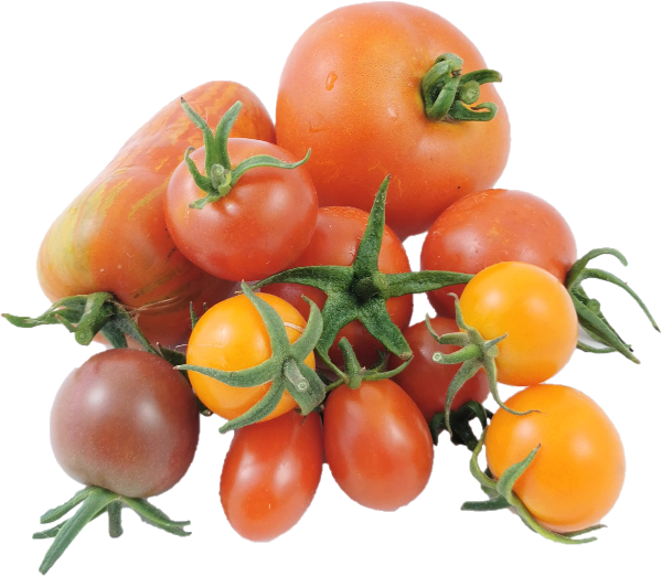 Produktfoto zu Tomaten Mix