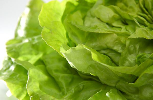 Produktfoto zu Kopfsalat