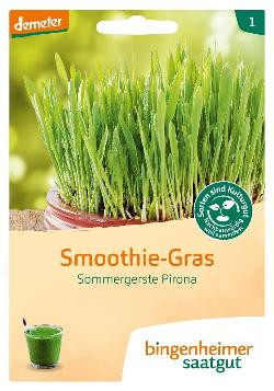 Produktfoto zu Sommergerste Pirona, Smoothie-