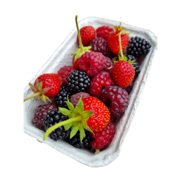 Produktfoto zu Beeren Mix 150g