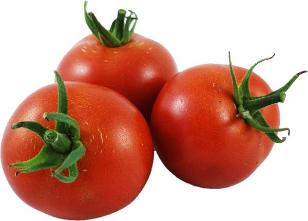 Produktfoto zu Tomaten