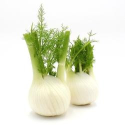 Produktfoto zu Fenchel