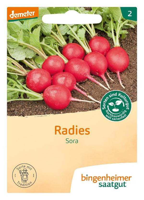 Produktfoto zu Radies Sora