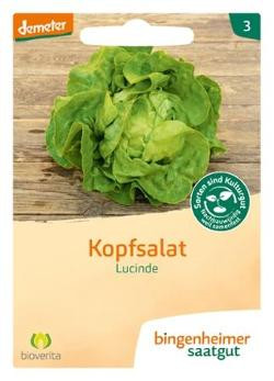 Produktfoto zu Kopfsalat Lucinde