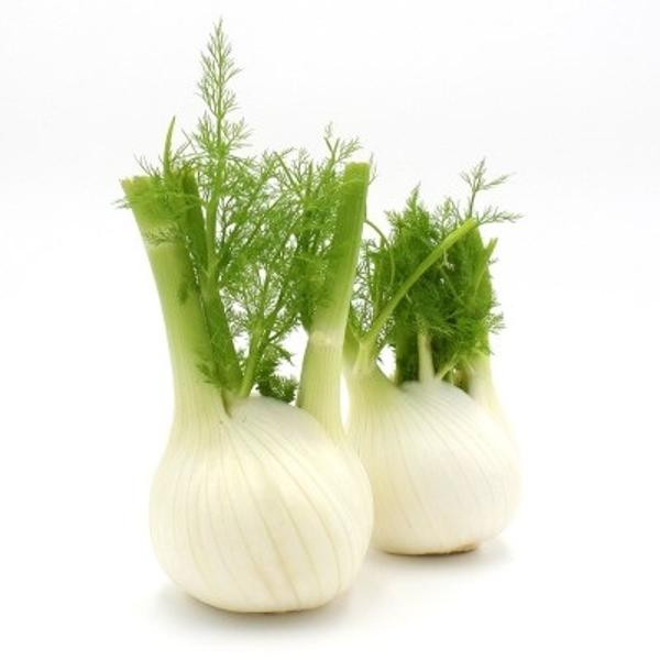 Produktfoto zu Fenchel