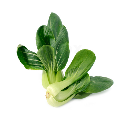 Produktfoto zu Pak Choi