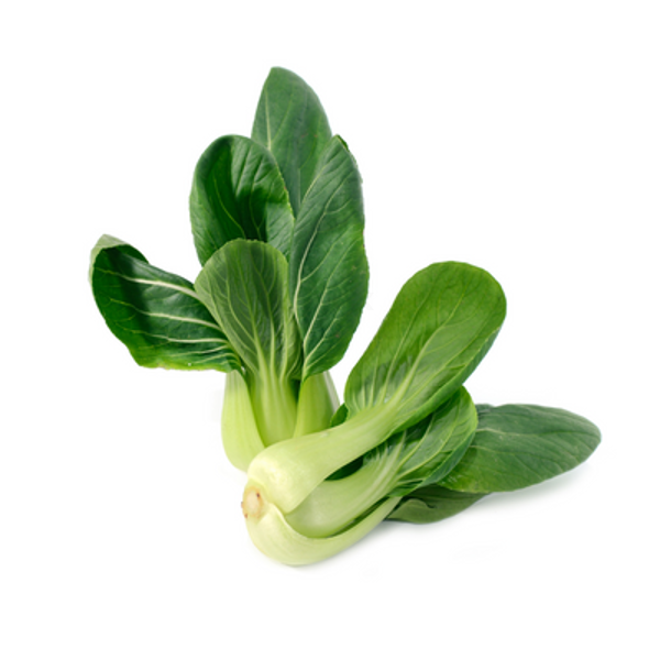 Produktfoto zu Pak Choi