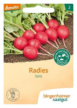 Produktfoto zu Radies Sora