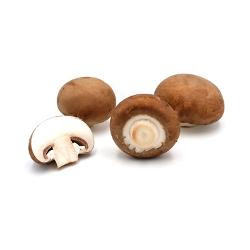 Produktfoto zu Champignons creme